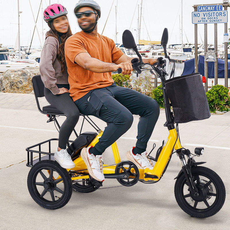 Folding Electric Trike With 350W Peak Motor, 480Wh Removable Battery, 2 Seat Design