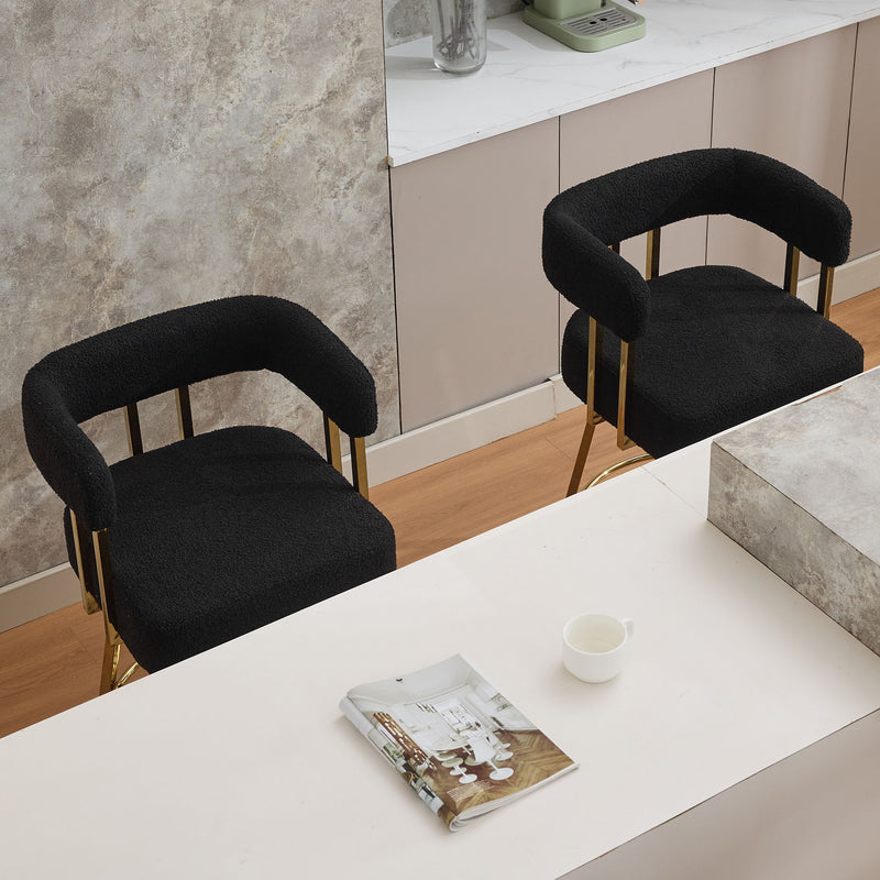 Decorative Upholstered Side Chair For Living Room (Set of 2)