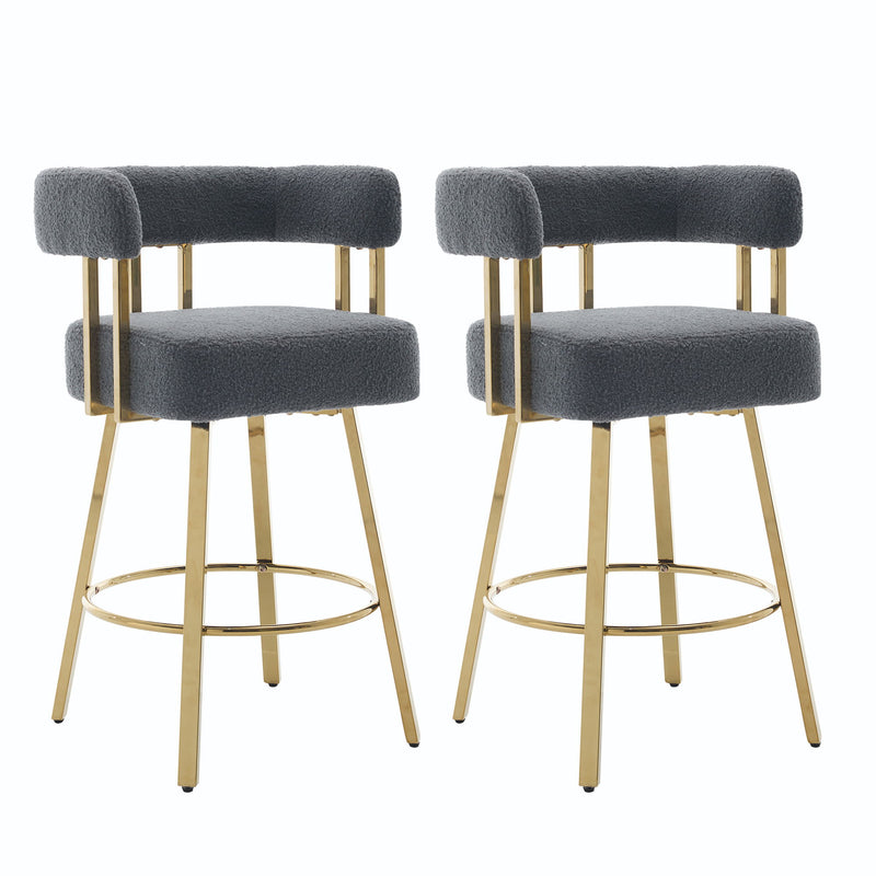 Decorative Upholstered Side Chair For Living Room (Set of 2)