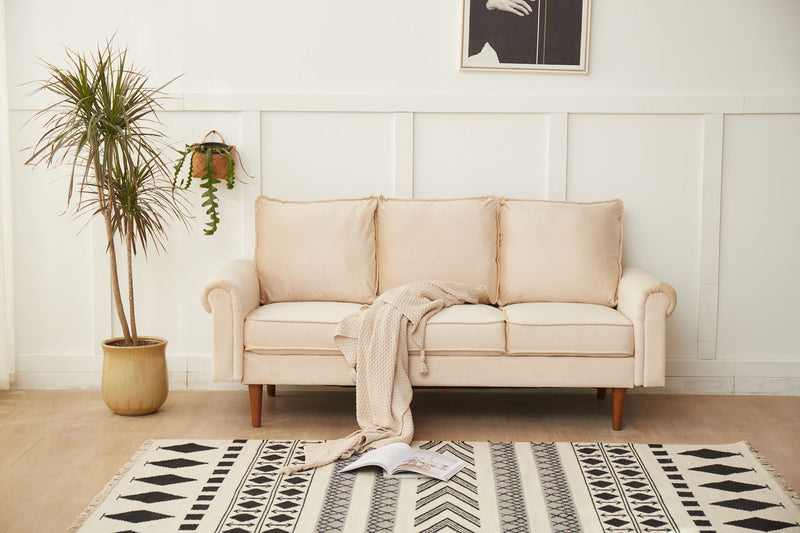 Graceful Design Comfort Sofa