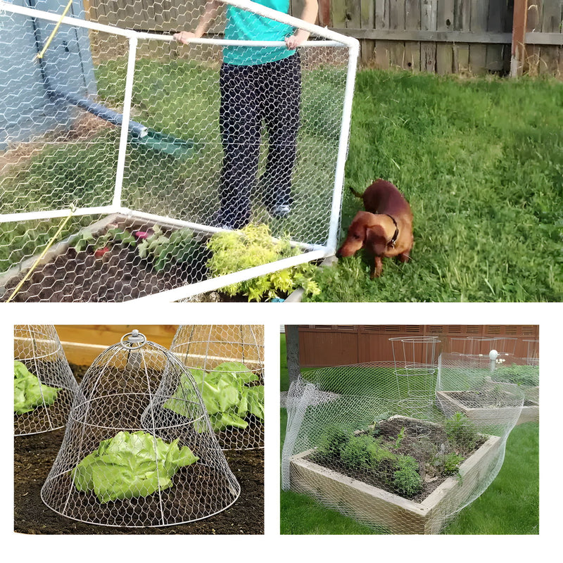 Galvanized Metal Hexagonal For Garden Protection