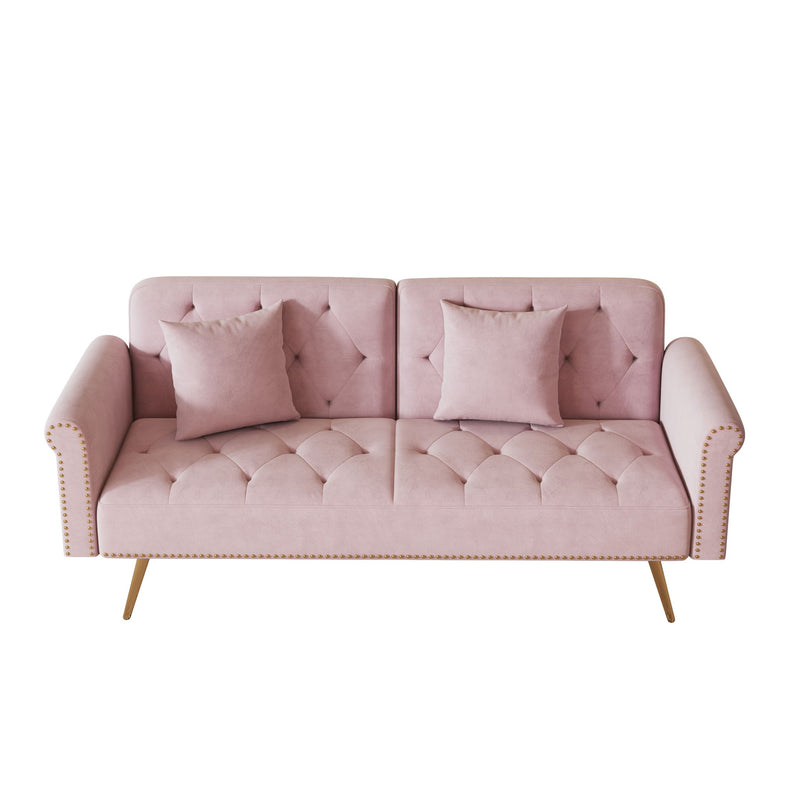 Luxurious Sofa Bed With Nail Head Trim And Matching Pillow