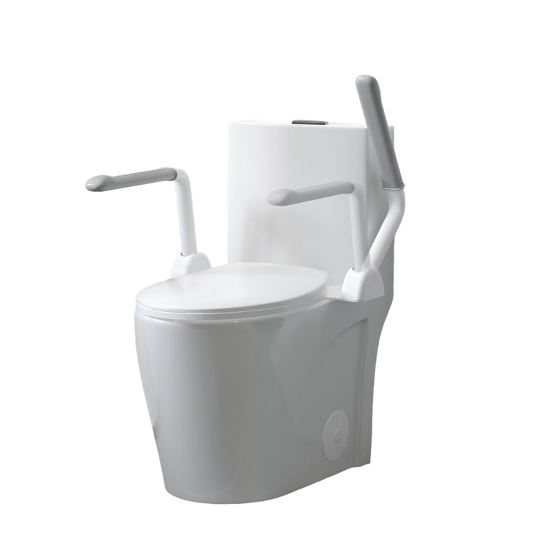 Upgraded Design Armrest, With Glossy Gw 007 1 Piece Toilet With Tornado Flush, Soft Close Seat, Dual Flush Map 1000G, Comfort Chair Seat - Gloss White